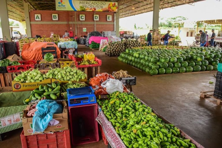 Vigilância Sanitária deve fiscalizar alimentos perecíveis