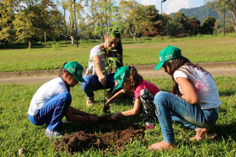 Alunos e SEMMA plantam arvores no Parque Ambiental