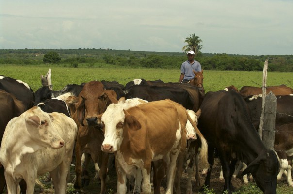 Paralisação dos caminhoneiros causa R$ 5 bilhões somente à produção do campo