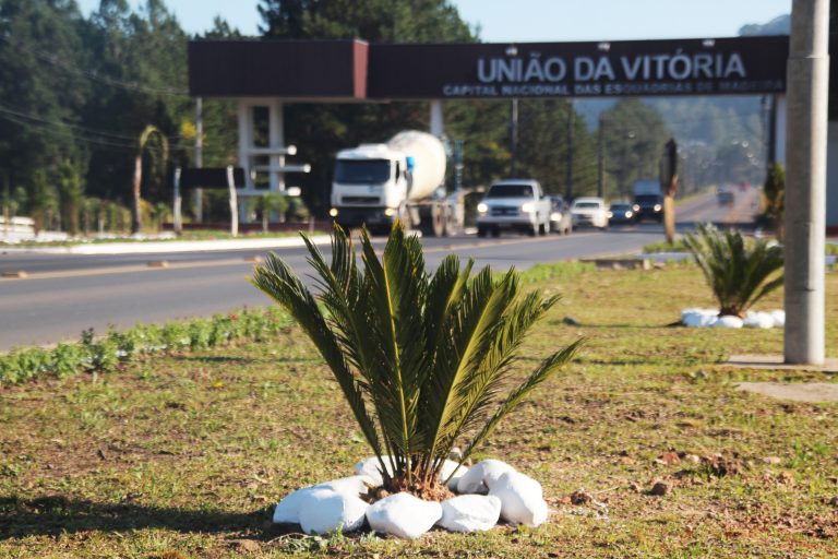 Canteiros de União da Vitória recebem manutenção