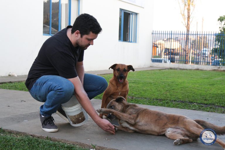 Curso de Medicina Veterinária da Uniguaçu incentiva a guarda responsável de animais