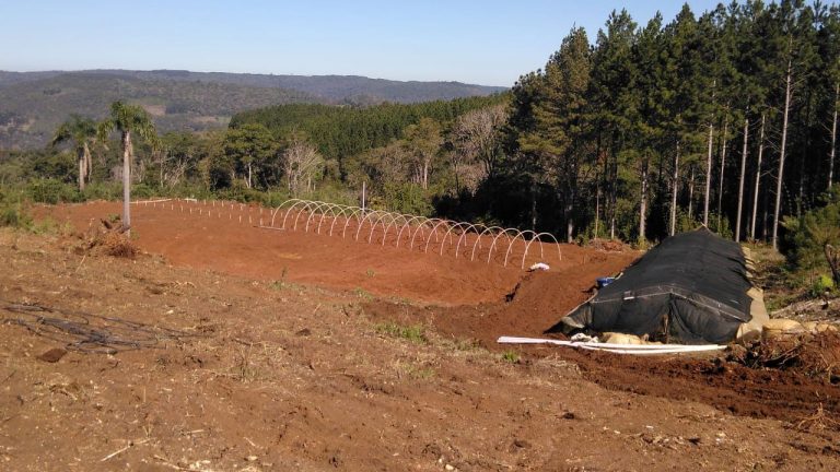 Programa “Porteira a Dentro” estimula empreendedorismo no interior de União da Vitória