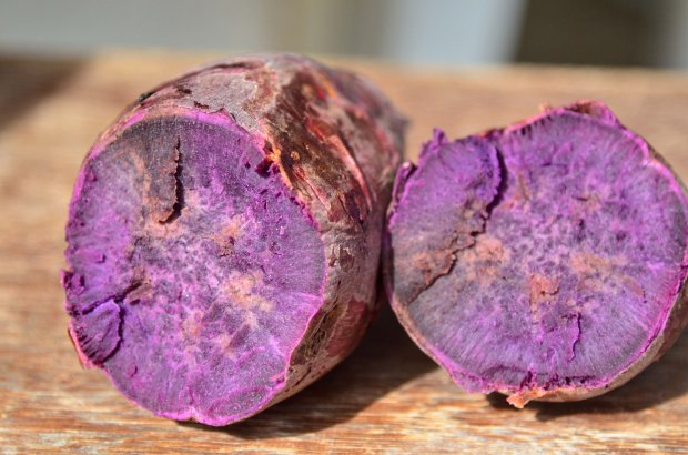 Batata doce azul tem grande valor nutricional e antioxidante, segundo estudo da Epagri