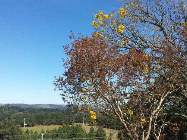 Faltam 15 dias para o verão, mas Santa Catarina e Paraná ainda convivem com temperaturas baaixas