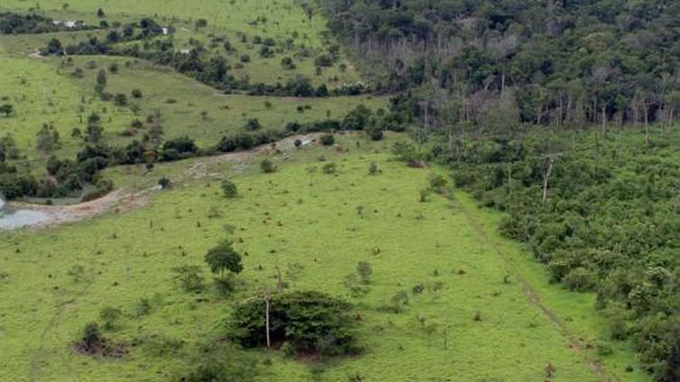 Governo Federal prorroga até dezembro de 2019 o prazo para inscrição no Cadastro Ambiental Rural (CAR)