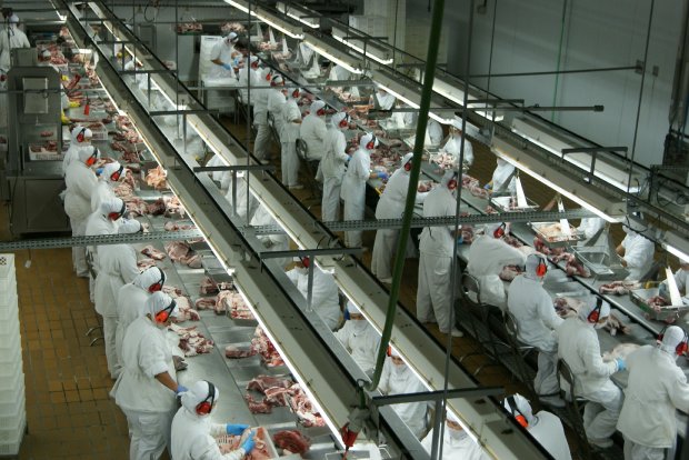 2018 registrou aumento nos embarques para o exterior de carnes de frango e de suínos de Santa Catarina