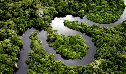 General Augusto Heleno: “Quem cuida da Amazônia brasileira é o Brasil”