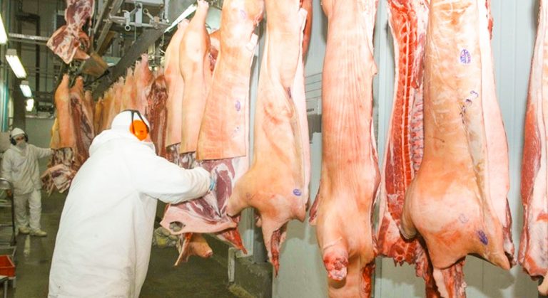 Exportação de carne suína e de frango segue com resultados positivos em Santa Catarina