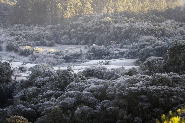 Simepar e Iapar iniciam 2019 do ‘Alerta Geada’