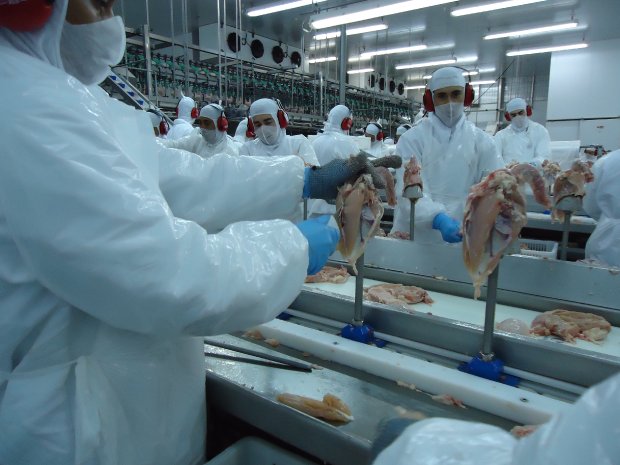 Exportações de carne suína e de frango aumentaram 18,3% nos primeiros quatro meses de 2019 em Santa Catarina