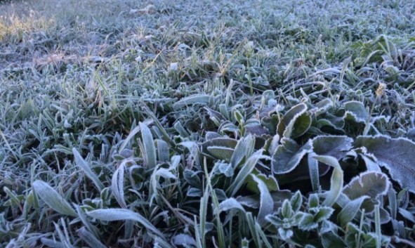 O frio está chegando cada vez mais intenso e pode gear neste sábado (25) na região