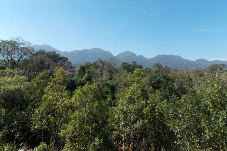 Desmatamento da Mata Atlântica no último ano foi o menor desde 1985