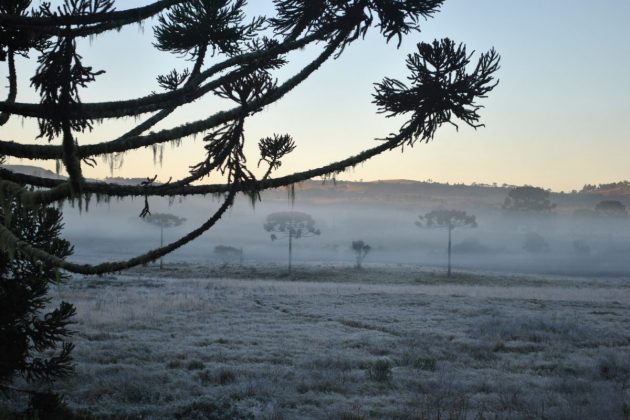 Inverno começa oficialmente nesta sexta-feira (21) e a região de União da Vitória terá as temperaturas mais baixas do Paraná