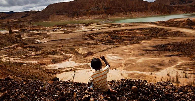 Últimos 50 anos foram os mais devastadores para o meio ambiente, diz pesquisador