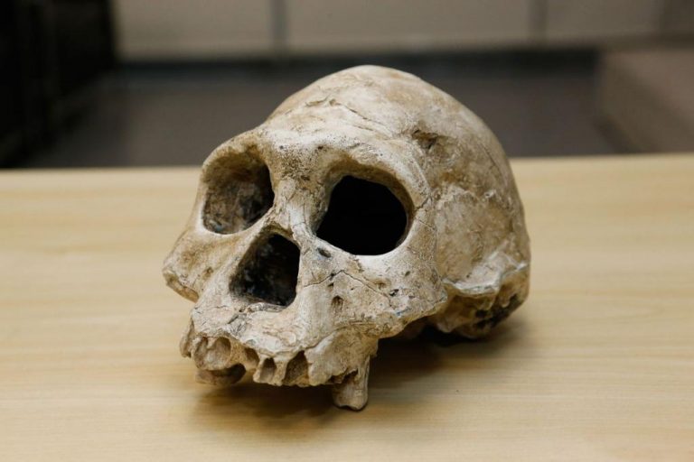 Descoberta de brasileiros pode mudar a história da humanidade