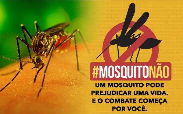 Mosquito Aedes: Multa de R$ 625,00 para quem não limpar seus terrenos vazios em Porto União