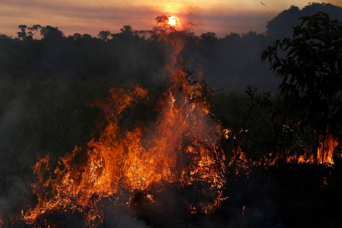 Humanidade passa a consumir mais recursos do que a terra pode produzir