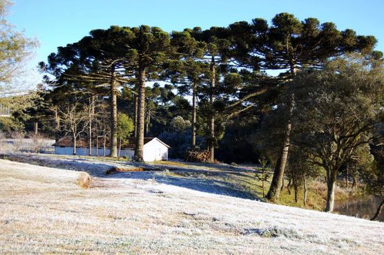 Queda gradativa das temperaturas no Paraná e em nossa região, inclusive com geadas