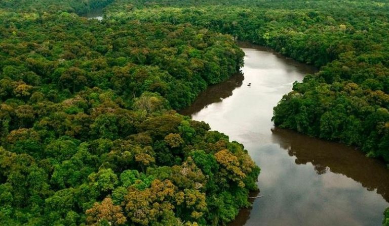 A Amazônia e os incêndios: Vizinhos contrariam o Brasil e sugerem ‘Pacto Global’