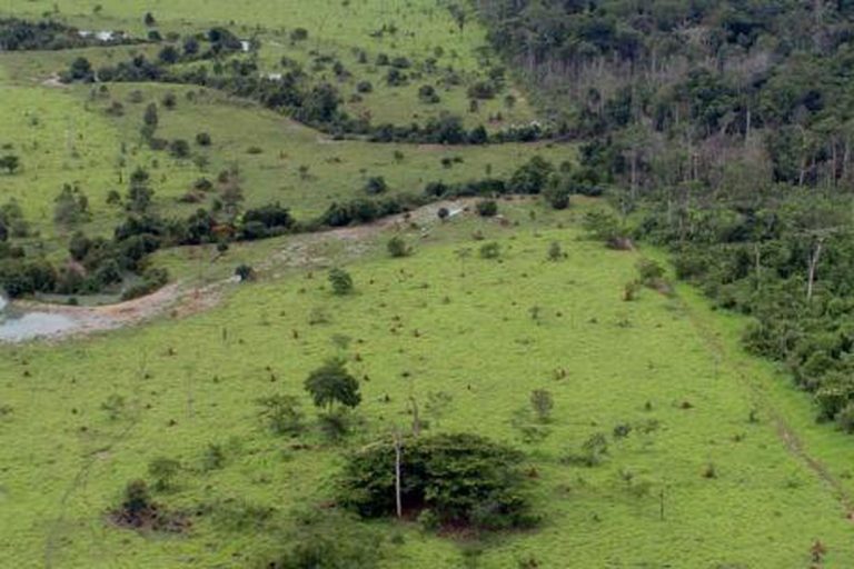 Começou nesta segunda-feira (12) o prazo para entrega da Declaração de Propriedade Rural