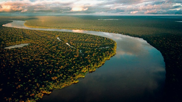 Bolsonaro disse que o Brasil não precisa da ajuda da Alemanha e deputado cobra do governo orçamento para preservar a Amazônia