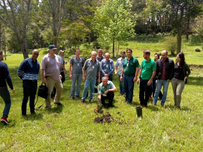 Em União da Vitória o 1º Curso de Enxertia de Araucária