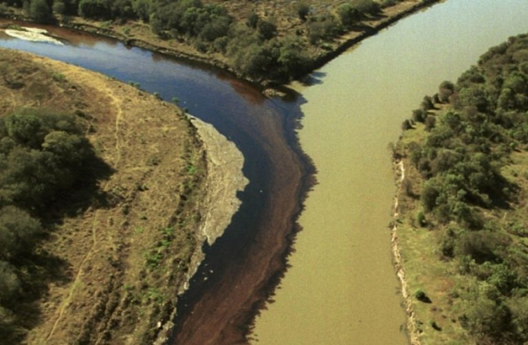 Finalmente a Justiça condena a Petrobras pelo vazamento em 2000 de óleo nos rios Barigui e Iguaçu