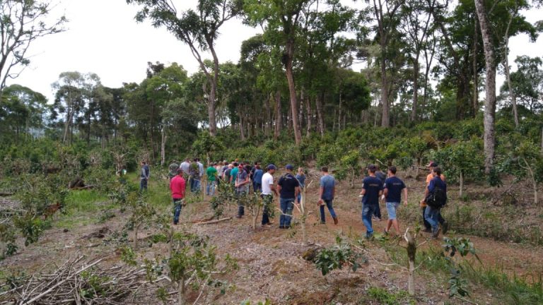 Produtores de União da Vitória participam de tarde de campo sobre manejo de pragas de erva-mate