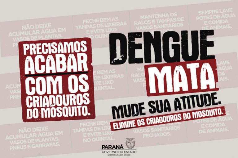 Paraná tem mais de 5.300 casos de dengue confirmados