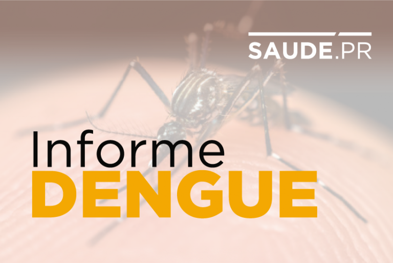 Já são 26.692 os casos de dengue em 325 municípios do Paraná