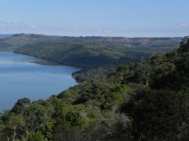 Santa Catarina reduziu 22% o desmatamento de Mata Atlântica em 2018/2019