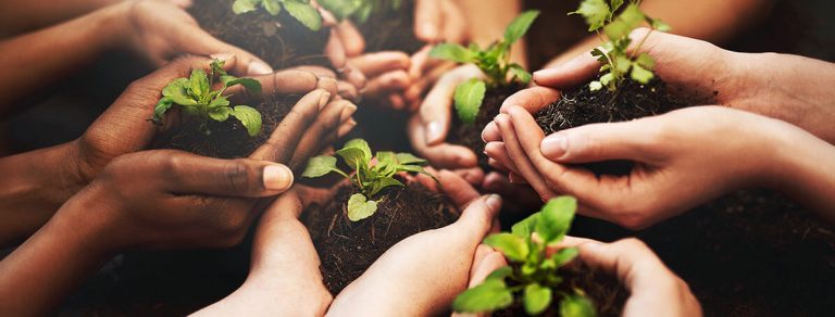 A importância do licenciamento ambiental autodeclaratório em Santa Catarina