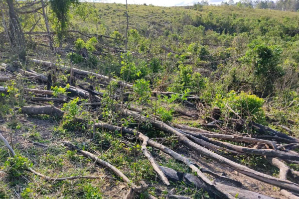 Polícia Ambiental-Força Verde age com rigor no Paraná, com ações até em São João do Triunfo