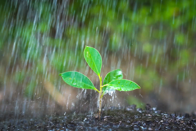 Verão trará chuva no mês de dezembro e acima da média nos meses de janeiro e fevereiro