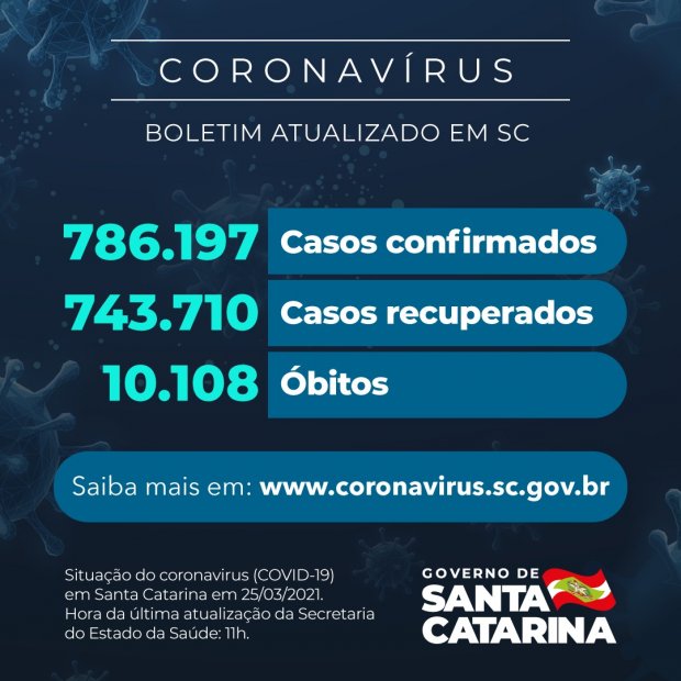 Pandemia da pandemia do coronavírus/covid-19 nos 295 municípios de Santa Catarina