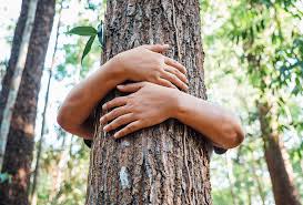 Como a preservação do meio-ambiente ajuda a evitar pandemias