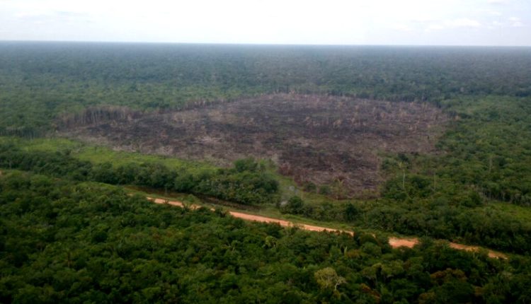 Criticas ao Projeto de Lei que flexibiliza Licenciamento Ambiental