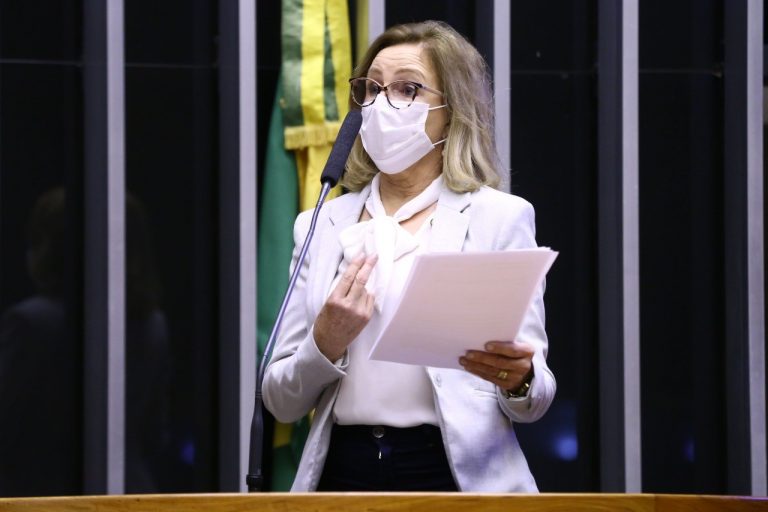 Na Câmara Federal, deputada Norma Pereira destaca importância e econômica do Planalto Norte