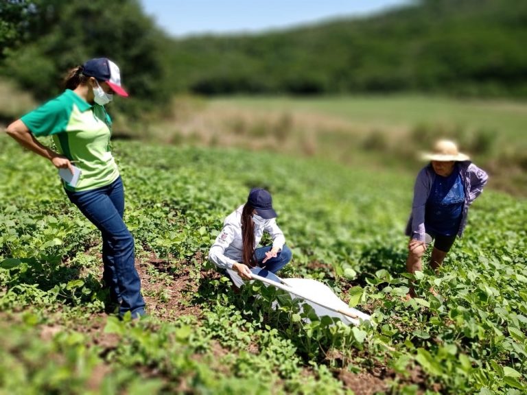 Prefeitura de União da Vitória firma convênio de Pesquisa e Extensão Rural