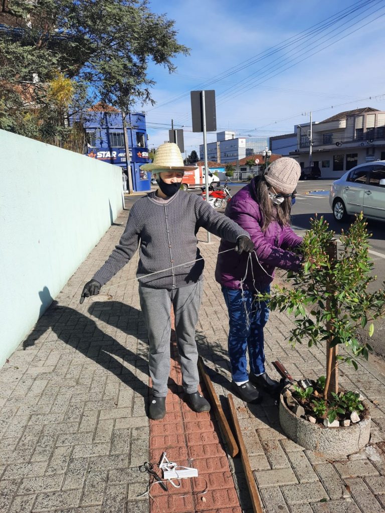 Iniciativa louvável: moradoras plantam árvores em União da Vitória