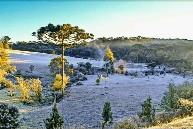 Massa intensa de frio começa a atingir o Sul do Brasil