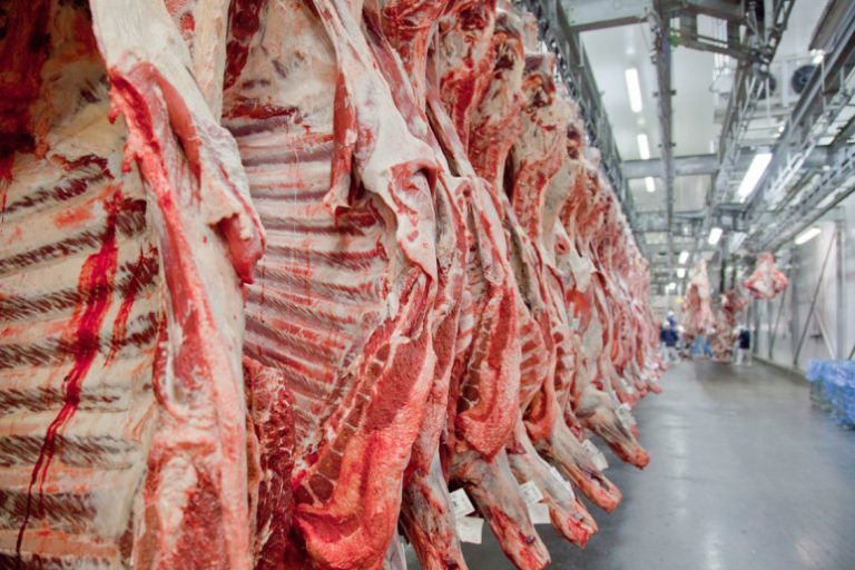 Em 26 anos, o menor consumo de carne-vermelha no Brasil