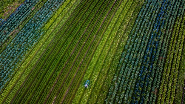 Governo de Santa Catarina vai investir mais R$ 330 milhões em projetos para aumentar a produção de alimentos