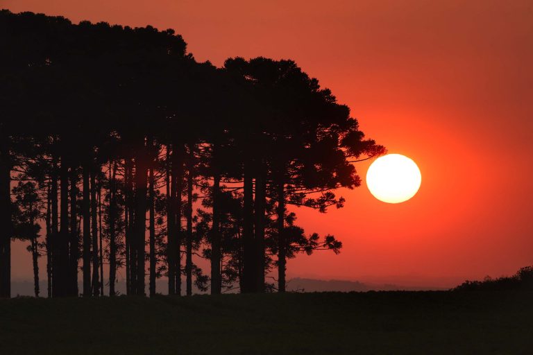 Calor forte no Paraná continua, segundo o Simepar