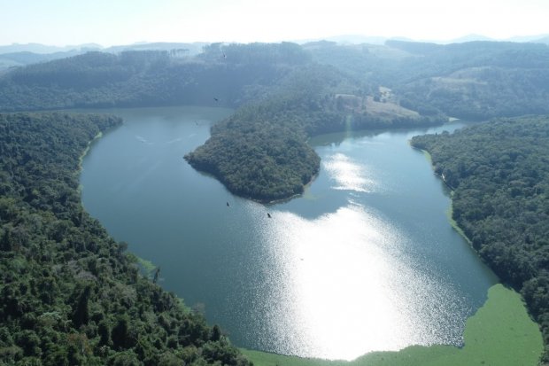 A Semana do Meio-Ambiente em Santa Catarina