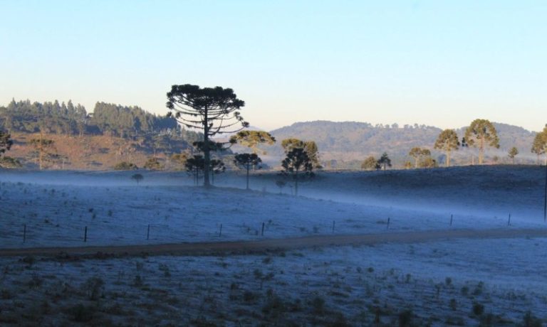 Como será o inverno de 2022