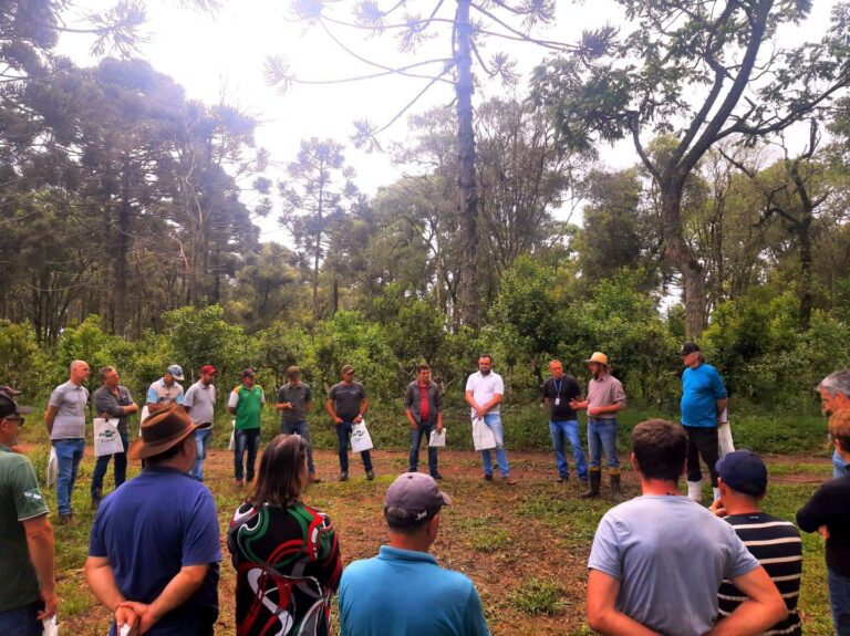 Secretaria de Agricultura de União da Vitória realiza encontro com produtores de erva-mate