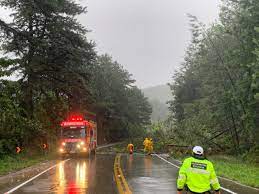 Bombeiros de Santa Catarina apoiam Bombeiros do Paraná na Serra de Guaratuba e BR-376