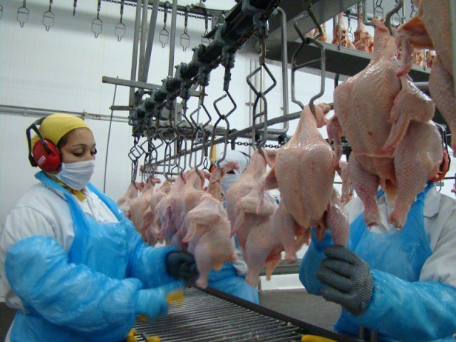 Santa Catarina atingiu recorde de exportações de carne em 2022