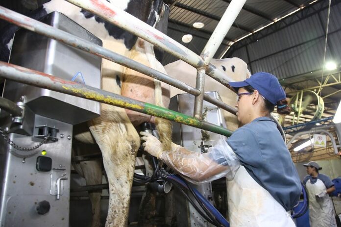 Salário mínimo do Paraná é o maior do país